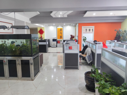 西宁视创电子科技有限公司